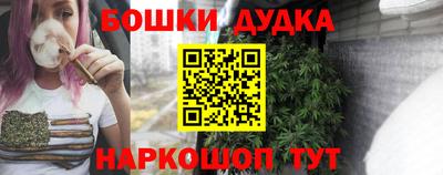 МДПВ Дубна