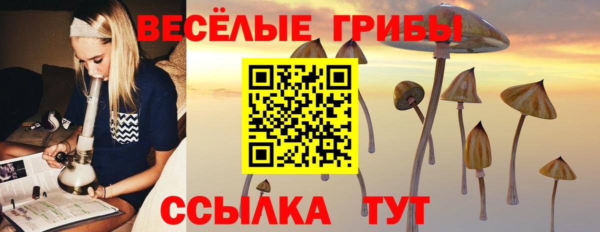 Минусинск  Галлюциногенные грибы ЛСД  Галлюциногенные грибы прущие грибы  Вход с VPN 